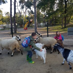 Kinderen Eltenbos bezoeken de kinderboerderij van Vossemeren